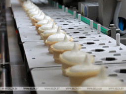 В Беларуси начали выпускать линейку полезного мороженого без сахара и лактозы