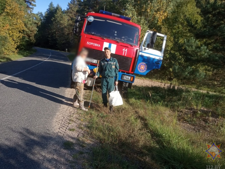 В лесу Лепельского района заблудилась пенсионерка: на помощь пришли спасатели