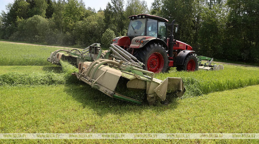 Белорусские аграрии приступили ко второму укосу трав