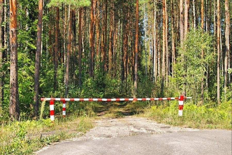 Решение райисполкома от 20 октября 2023 года № 1121 «Об ограничениях и запретах на территории лесного фонда».   