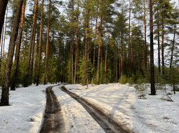 В Беларуси 1 января стало самым теплым за всю историю метеонаблюдений