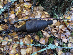Грибник нашел в лесу возле Полоцка гранатомёт времен ВОВ