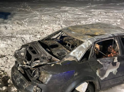 Три девушки погибли. Жуткая ночная авария: Audi врезалась в дерево и загорелась