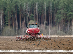 Идеальные условия. Лукашенко о погоде и ситуации в сельском хозяйстве после зимы