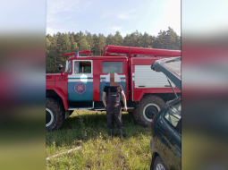 В Лепельском районе спасатели помогли выйти из леса заблудившемуся грибнику