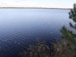 В Лепельском районе в озере утонул мужчина