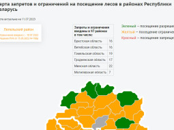 Ограничения на посещение лесов вновь введены в Витебской области