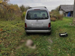 В Витебском районе охотник забрал тушу погибшей косули, возбуждено уголовное дело