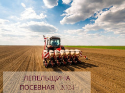 В Беларуси ранние яровые зерновые и зернобобовые посеяны на 54,1 тыс. га