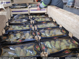 Без документов пытались вывезти в Россию 270 тонн груш
