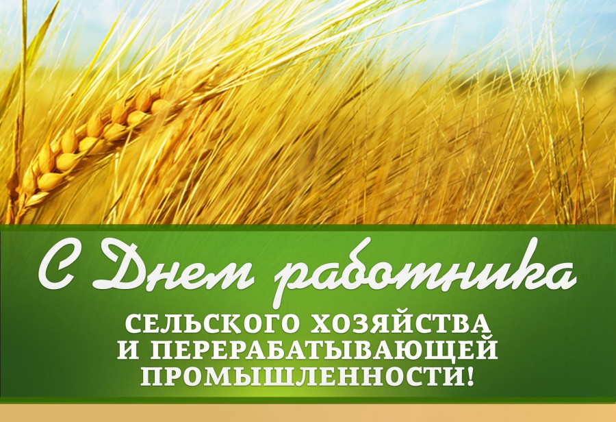 Любовь к родной земле и уважение к крестьянскому труду. Лукашенко назвал фундаментальные для белорусов ценности