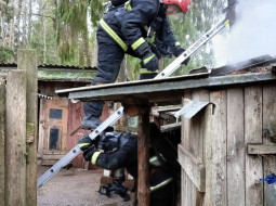 В Боровке Лепельского района горели 2 сарая