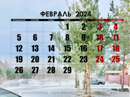 Что изменится в Беларуси с 1 февраля 2024 года?