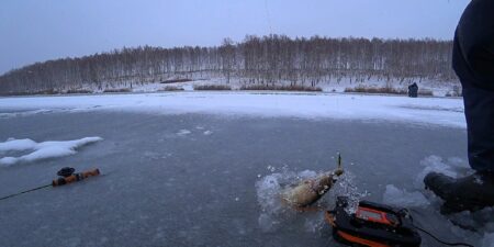 Лепельский край