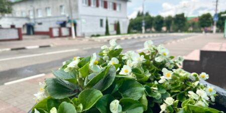 Лепельский край
