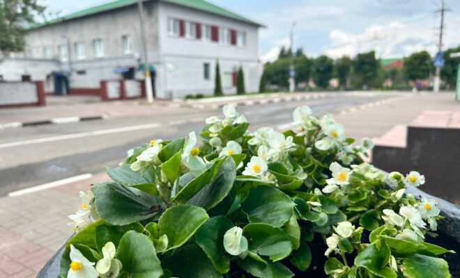 Лепельский край