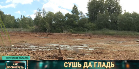 Лепельский край