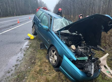 Лепельский край