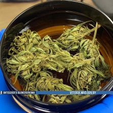 Лепельский край