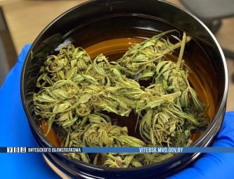 Лепельский край