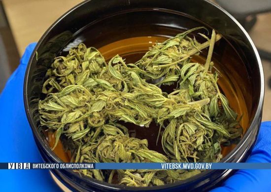 Лепельский край