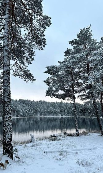 Лепельский край