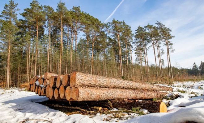 Лепельский край