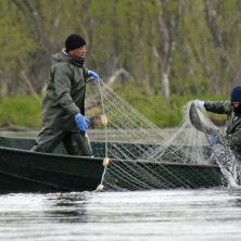 Лепельский край