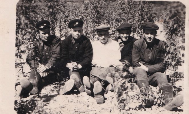 Лепельский край